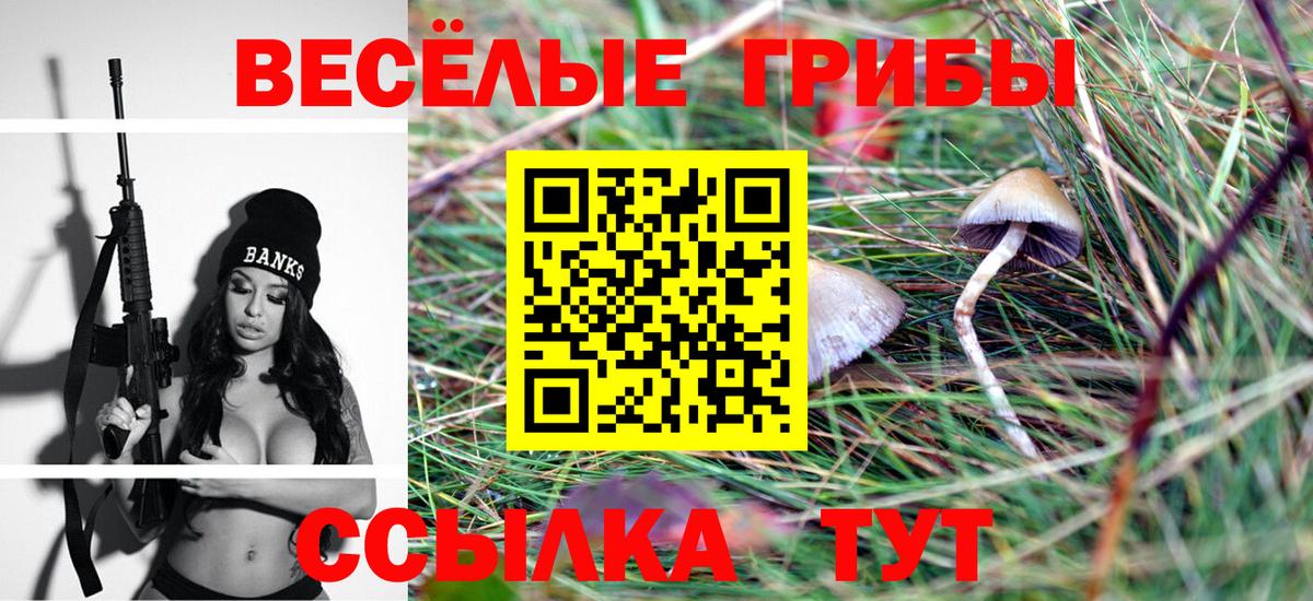 Псилоцибиновые грибы прущие грибы Нижневартовск